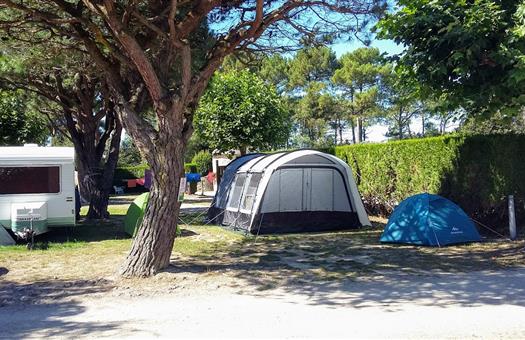 Camping Locmariaquer Des emplacements semi ombragés au camping de la Tour - Camping de La Tour - Locmariaquer