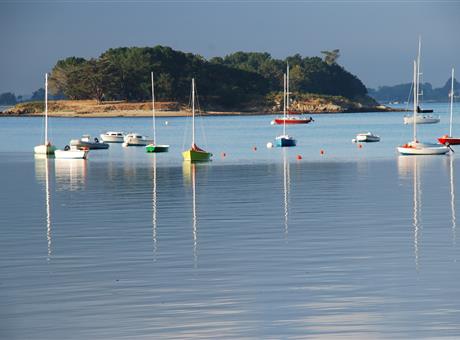 Croisière dans le Golfe du Morbihan Camping Locmariaquer  - Camping de La Tour - Locmariaquer