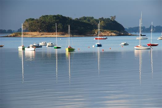 Croisière dans le Golfe du Morbihan Camping Locmariaquer  - Camping de La Tour - Locmariaquer