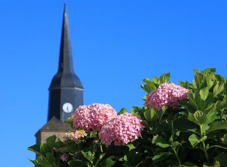 Découvrez le ville de Locmariaquer - Camping de La Tour - Locmariaquer