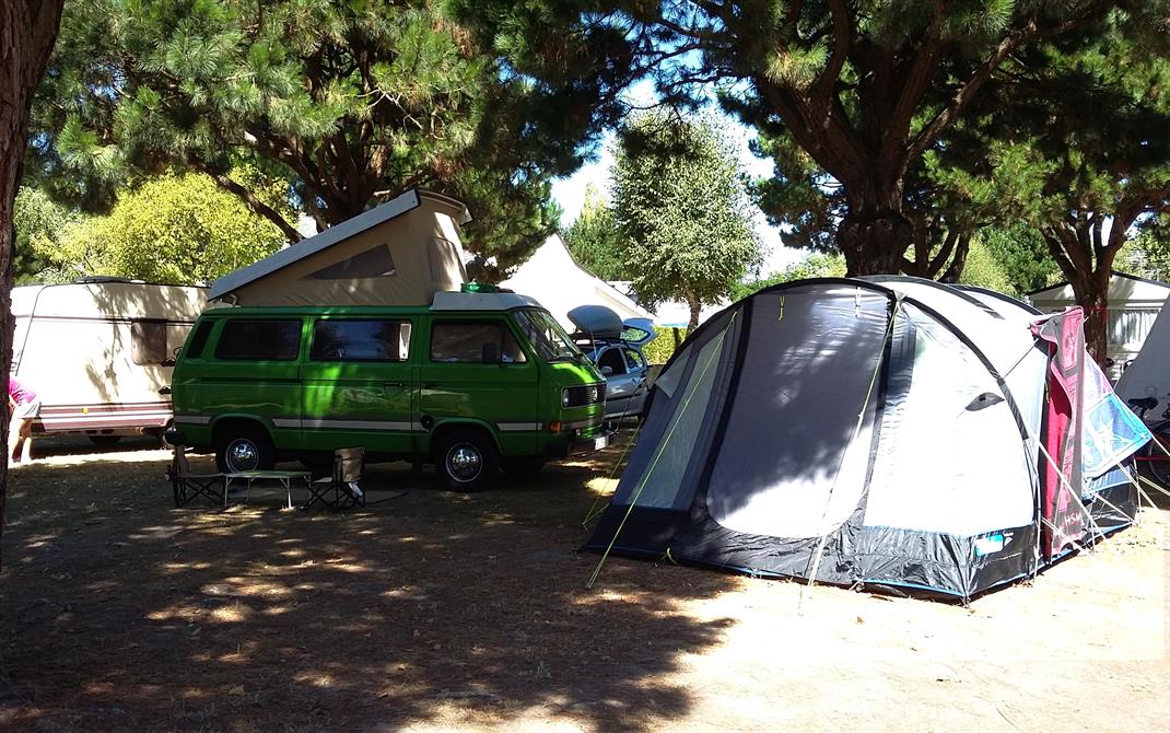 Camping Locmariaquer - Envie de nature: emplacements sous les pins au camping de la Tour à Locmariaquer - Camping de La Tour - Locmariaquer
