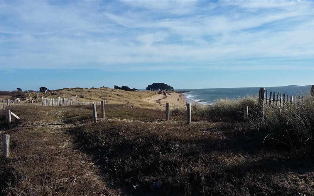 Camping Locmariaquer avec accès direct plage de kerinis - Camping de La Tour - Locmariaquer