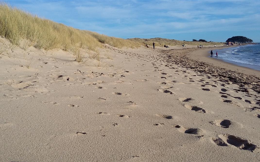 Camping Locmariaquer proche plages de Locmariaquer  - Camping de La Tour - Locmariaquer