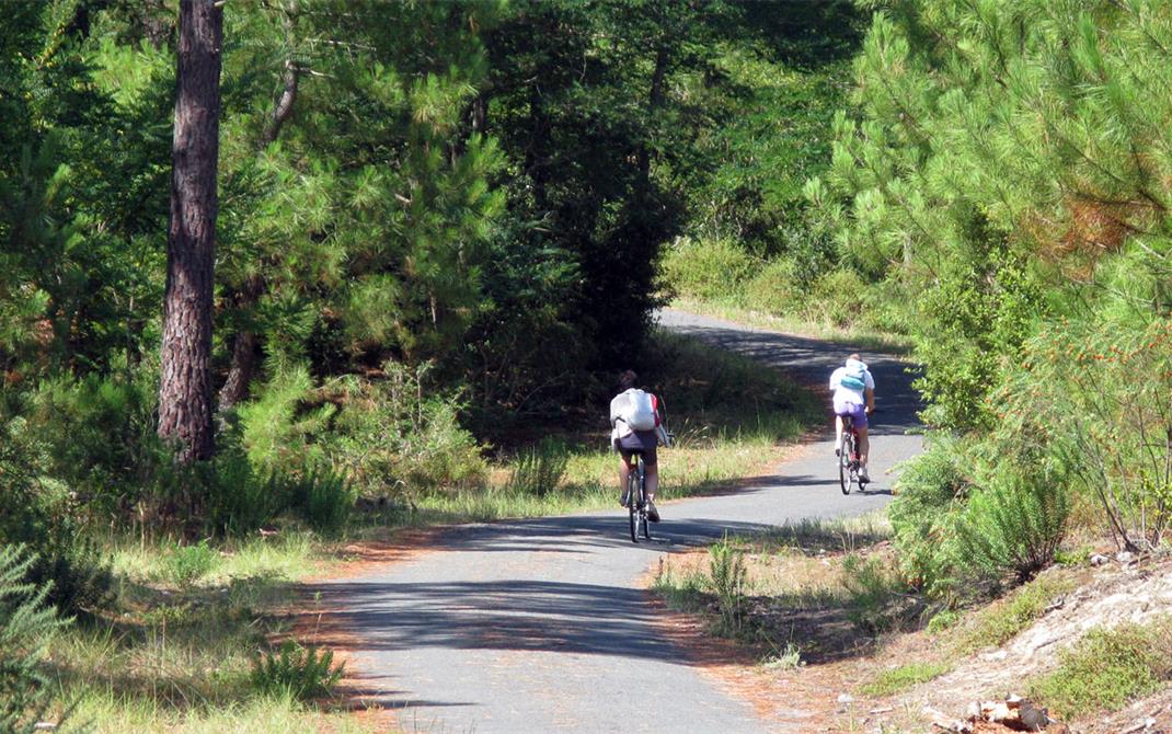 Pistes cyclables depuis le camping Locmariaquer  - Camping de La Tour - Locmariaquer