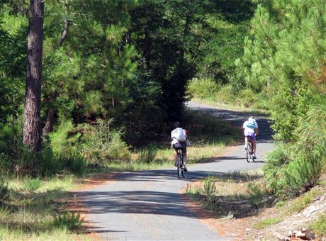 Pistes cyclables depuis le camping Locmariaquer  - Camping de La Tour - Locmariaquer