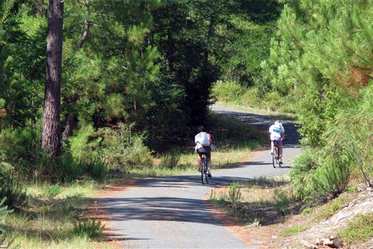 Pistes cyclables depuis le camping Locmariaquer  - Camping de La Tour - Locmariaquer
