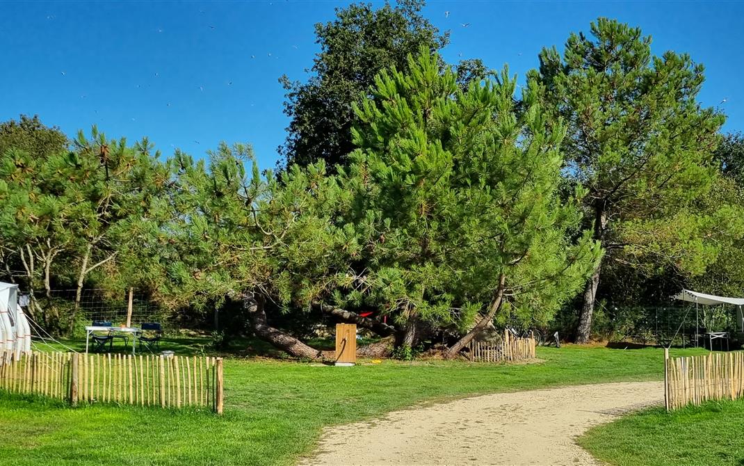 Camping de La Tour - Locmariaquer
